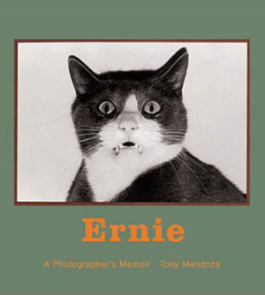 Ernie The Cat